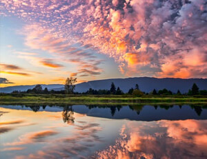 切尔西连败惨遭淘汰，球迷不满频频呼喊